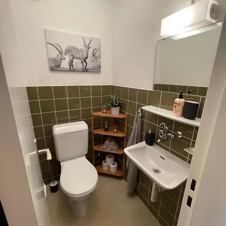 Charmante Chalet-wohnung Im Ski-/ Wanderparadies 公寓